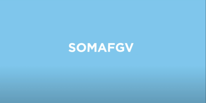 FGV SOMA