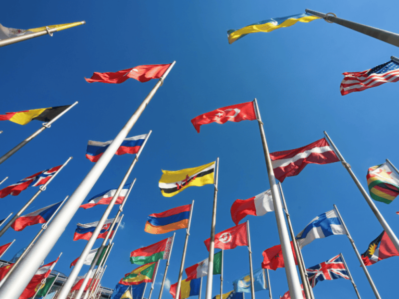 Comércio Internacional e Investimentos