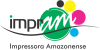 Logo Impram